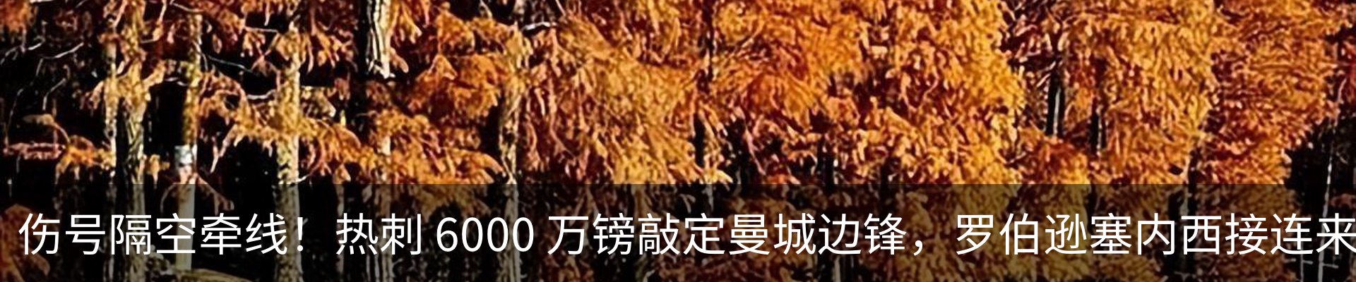 新闻中心